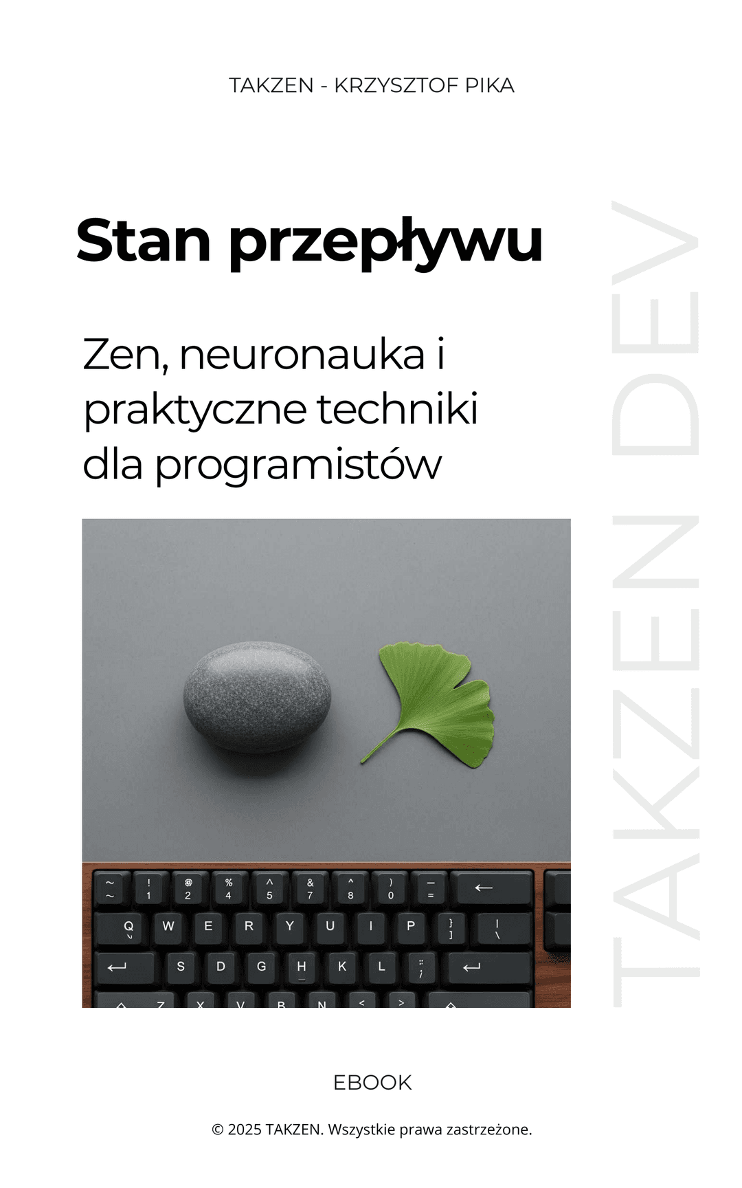 Okładka ebooka - Polish Version